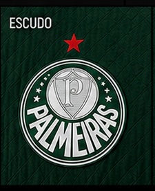 Camisa Palmeiras Jogador